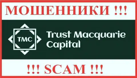 Trust M Capital - СКАМ !!! МОШЕННИКИ !!!