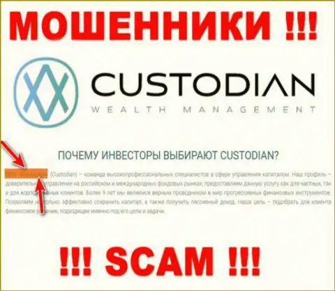 Юридическим лицом, управляющим интернет мошенниками Custodian, является ООО Кастодиан