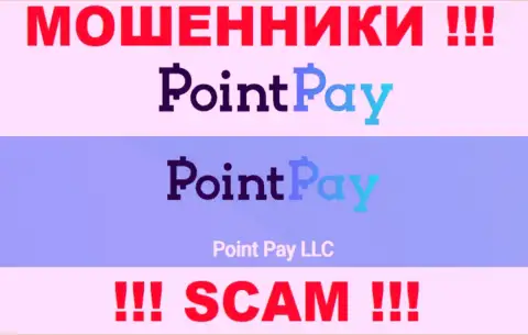 Point Pay LLC - это владельцы противоправно действующей организации Поинт Пей
