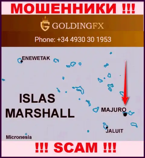 С internet-махинатором ГолдингФХИкс Нет не спешите работать, они расположены в офшоре: Majuro, Marshall Islands