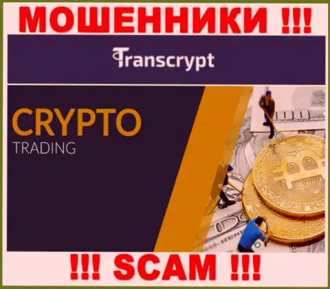 TransCrypt - это интернет мошенники !!! Вид деятельности которых - Crypto trading