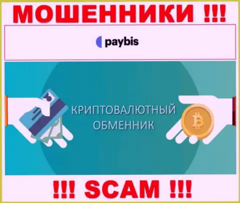 Крипто обменник - это направление деятельности противозаконно действующей компании Paybis LTD