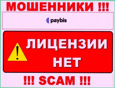 Информации о лицензионном документе PayBis Com у них на официальном web-портале не приведено - это РАЗВОДИЛОВО !!!