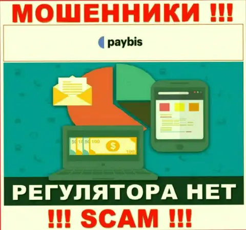 У PayBis Com на web-ресурсе не имеется сведений об регулирующем органе и лицензии компании, а значит их вообще нет