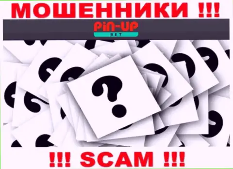 На онлайн-сервисе Pin-Up Bet не представлены их руководители - мошенники безнаказанно прикарманивают финансовые средства