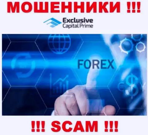FOREX - это направление деятельности мошеннической конторы Exclusive Capital
