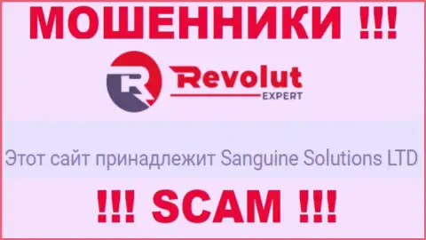 Инфа об юридическом лице мошенников RevolutExpert Ltd