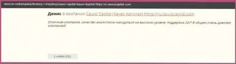 Организация Cauvo Capital представлена в достоверном отзыве на сайте Revocon Ru
